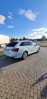 Skoda Superb cena 83500 przebieg: 93000, rok produkcji 2017 z Ełk małe 667
